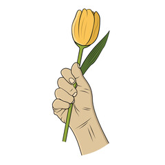 Hand holding a tulip flower. Vector design