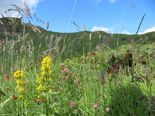 Sommerliche Bergblicke