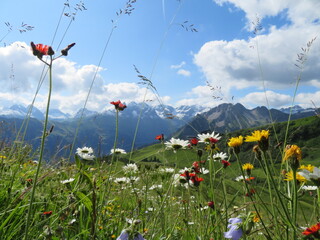 Sommerliche Bergblicke