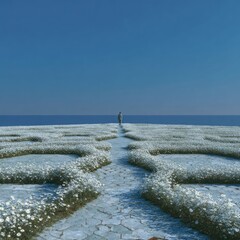 A solitary figure walks a path of white flowers amidst a cracked landscape, stretching toward a vast, blue sea