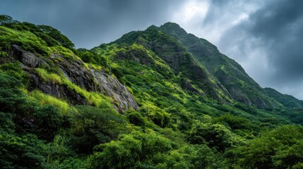Obraz premium Green mountainside landscape