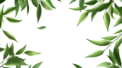 Fresh Green Leaves with Natural Texture Isolated on White Background