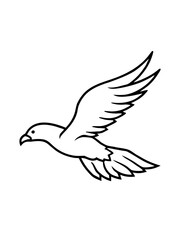  pallass fish Fly eagle tattoo dove with feather design icon line airt vactor outline Illustrationicon line airt vactor outline Illustrations on white backgrod