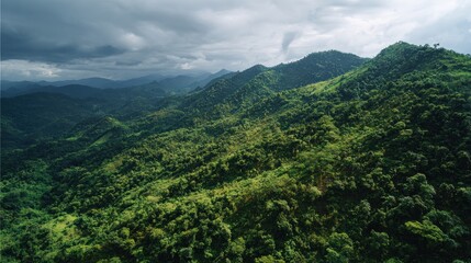 Fototapeta premium Green mountain forest landscape