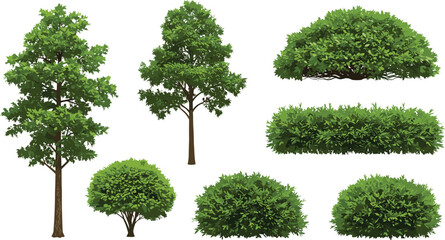 Collection of realistic green trees and lush shrubs for outdoor scene creation, ideal for landscape design, 2D game art, or educational materials