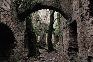 Fototapeta premium Ruined stone passageway, overgrown with ivy and trees