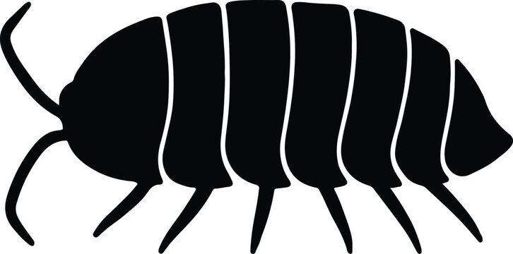 Silhouette woodlouse invertebrate simple minimalist insect vector Illustrator