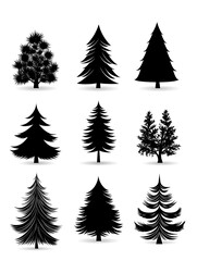 黒の森のシルエット