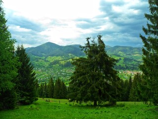 Beautiful meadow view of mountain village