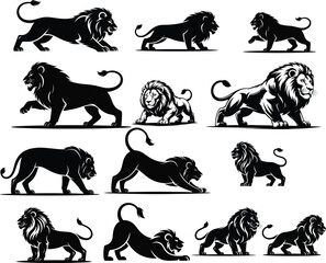 Majestic lions in various poses big cat feline