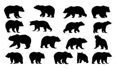 Black outline bear silhouettes showing wild grizzly poses — walking, sitting, standing. Mammal wildlife art from forest and mountain habitats, nature scenes, ecological conservation