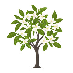 Obraz premium Flat 2D Jasmine Tree illustration, vector graphic in icon style, on white background