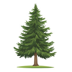 2D flat vector illustration of a Cypress Pine Tree in icon style, isolated on white background