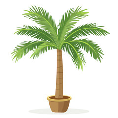 Obraz premium Flat 2D Dwarf Date Palm illustration, vector graphic in icon style, on white background