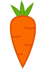 Children Draw Doodle