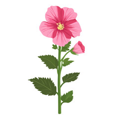 Flat 2D Hollyhock Flower illustration, vector graphic in icon style, on white background