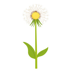 Minimal flat vector of a Dandelion, 2D icon-style illustration on white background