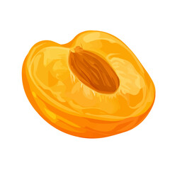 Dried Apricot, flat style 2D vector image, isolated on a white background
