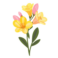 Minimal flat vector of a Freesia Flower, 2D icon-style illustration on white background