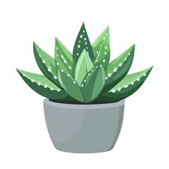 2D flat vector illustration of a Haworthia in icon style, isolated on white background