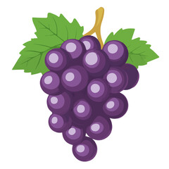 Grape, flat style 2D vector image, isolated on a white background