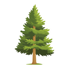 2D flat vector illustration of a Cypress Pine Tree in icon style, isolated on white background