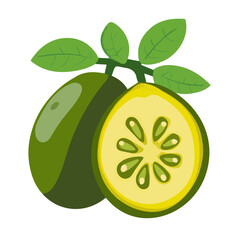 Feijoa, flat style 2D vector image, isolated on a white background