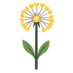 Dandelion, flat style 2D vector image, isolated on a white background