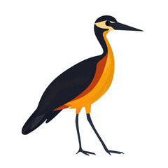 Flat 2D Jacana illustration, vector graphic in icon style, on white background