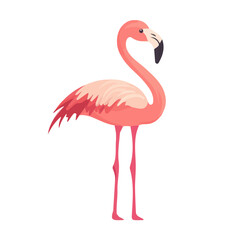 2D flat vector illustration of a Flamingo in icon style, isolated on white background