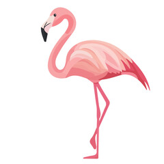 Flamingo, flat style 2D vector image, isolated on a white background