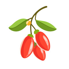 Goji Berry, flat style 2D vector image, isolated on a white background