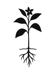 Black silhouette of a small plant with leaves and roots isolated on white background