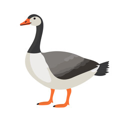 Flat 2D Goose illustration, vector graphic in icon style, on white background