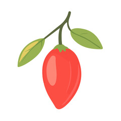 Goji Berry, flat style 2D vector image, isolated on a white background