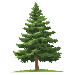 Flat 2D Yew Tree illustration, vector graphic in icon style, on white background