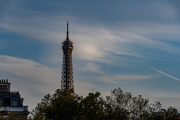 Unique perspective of the Eiffel Tower's pinnacle framed by foliage, bathed in warm evening light.