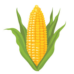 Obraz premium Sweet Corn, flat style 2D vector image, isolated on a white background
