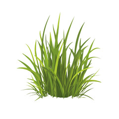 Flat 2D Marsh Grass illustration, vector graphic in icon style, on white background