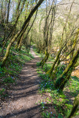 The beautiful natural pools known as 