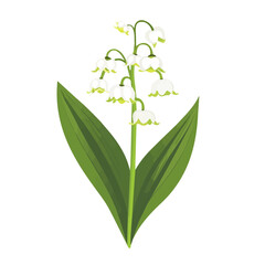 2D flat vector illustration of a Lily Of The Valley in icon style, isolated on white background