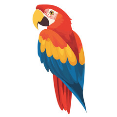 Minimal flat vector of a Macaw, 2D icon-style illustration on white background