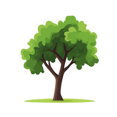 Minimal flat vector of a Teak Tree, 2D icon-style illustration on white background