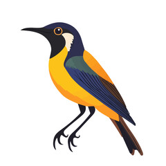 2D flat vector illustration of a Sunbird in icon style, isolated on white background