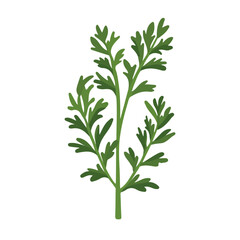 Minimal flat vector of a Wormwood, 2D icon-style illustration on white background
