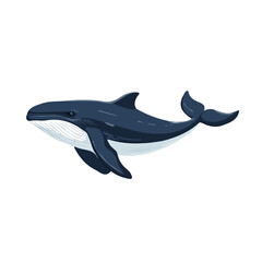 2D flat vector illustration of a Whale in icon style, isolated on white background
