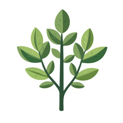 Minimal flat vector of a Shatavari, 2D icon-style illustration on white background