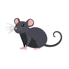Minimal flat vector of a Rat, 2D icon-style illustration on white background