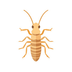Flat 2D Termite illustration, vector graphic in icon style, on white background