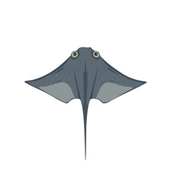 Flat 2D Stingray illustration, vector graphic in icon style, on white background